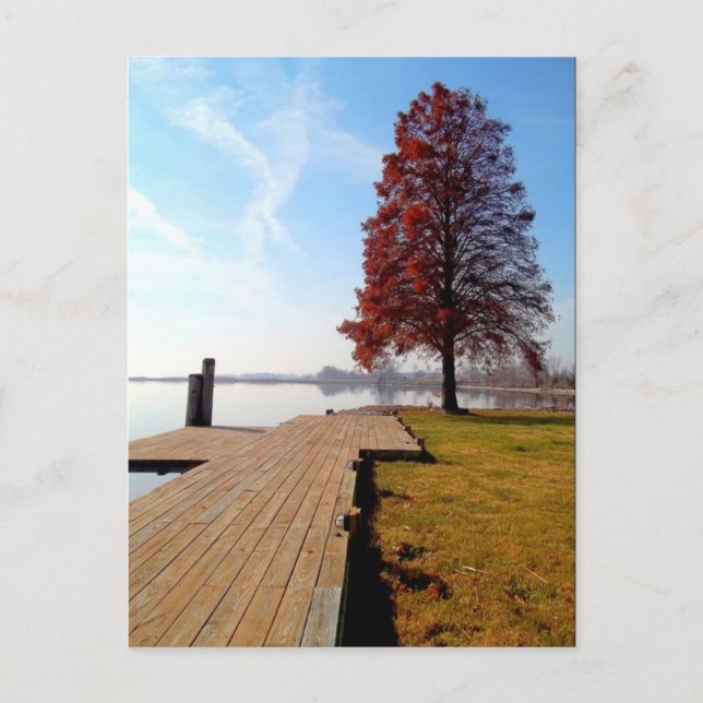 Carte Postale Rivière Vienne Maryland (Devant)
