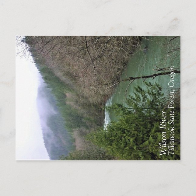 Carte Postale Rivière Wilson, OU (Devant)