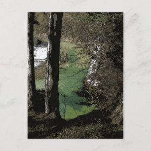 Carte Postale Rivière Winding