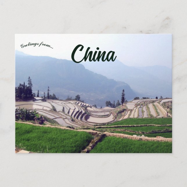 Carte Postale Rizières de Qingkou dans le Yunnan en Chine (Devant)