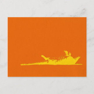 CARTE POSTALE ROAD KILL ARMADILLO