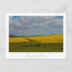 Carte postale Road South Africa Landcape