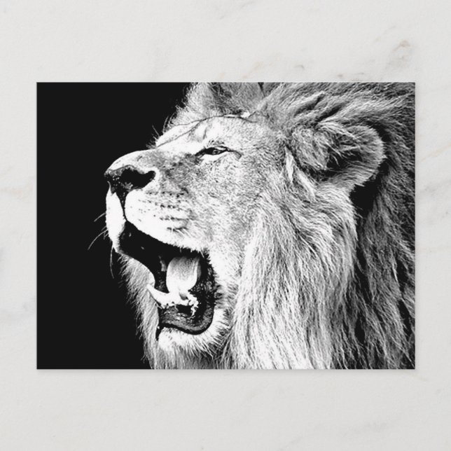 Carte Postale Roaring Lion (Devant)