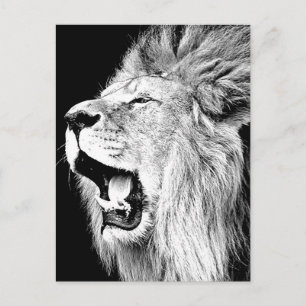 Carte Postale Roaring Lion