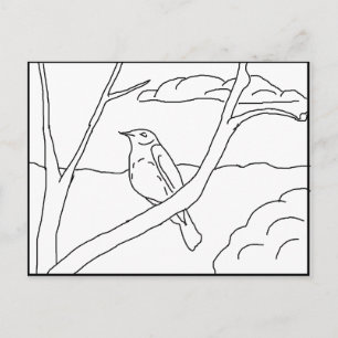 Carte postale - Robin à couleur