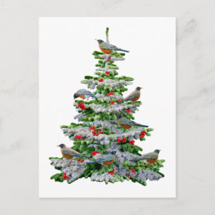 Carte Postale Robin Arbre