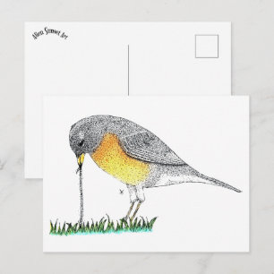 Carte Postale Robin avec ver