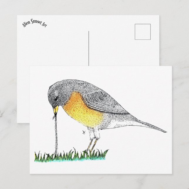 Carte Postale Robin avec ver (Devant / Derrière)
