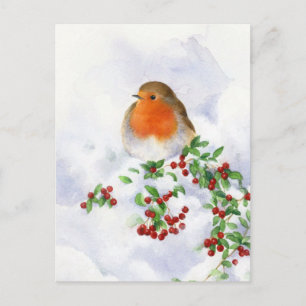 Carte postale - Robin de Noël