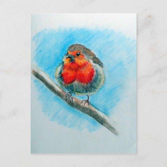 Carte Postale Robin de Noël mignon (Devant)