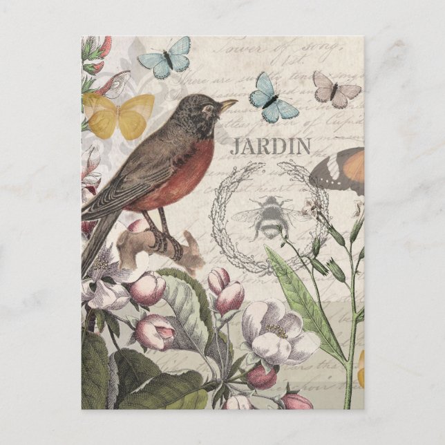 Carte Postale Robin Elegant Bird Butterfly French Art (Devant)