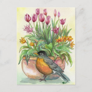 Carte Postale Robin et Tulipes