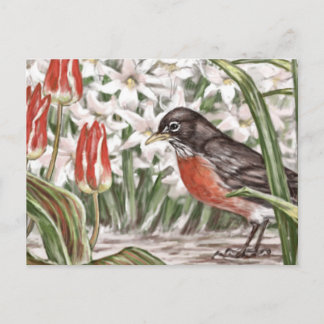 Carte Postale Robin et Tulipes rouges Fleurs de printemps Peintu