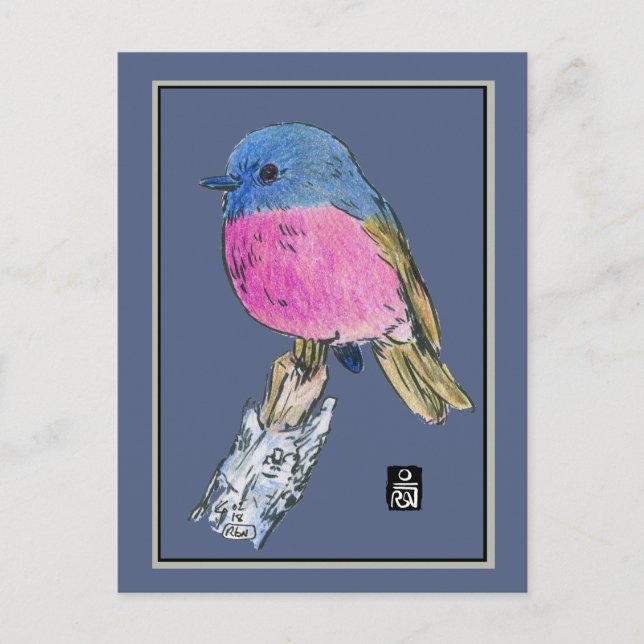 Carte Postale Robin rose Colorful Petit Oiseau (Devant)