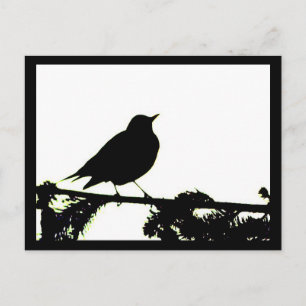 Carte postale Robin Silhouette américaine
