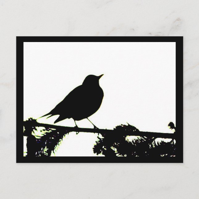 Carte postale Robin Silhouette américaine (Devant)