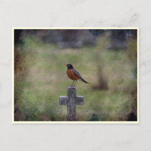 Carte Postale Robin sur une croix