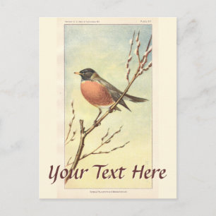 Carte postale Robin vintage