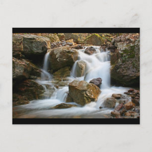 Carte Postale Roche
