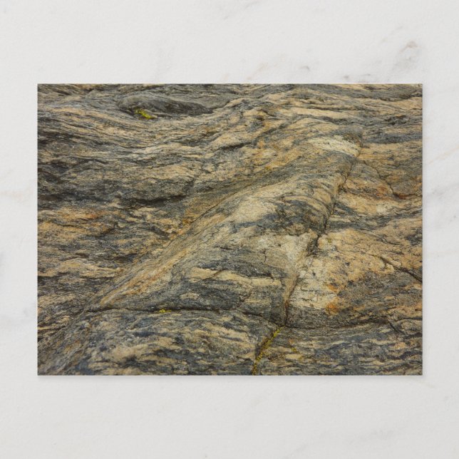 Carte Postale Rocher de Joshua Tree Photographie Abstraite de la (Devant)