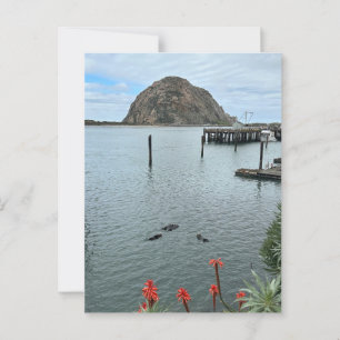 Carte Postale Rocher de Morro Bay avec Otter