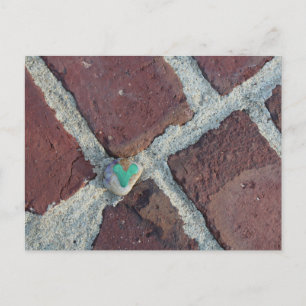 Carte Postale Rocher du Coeur Vert sur Pella, Iowa Brick