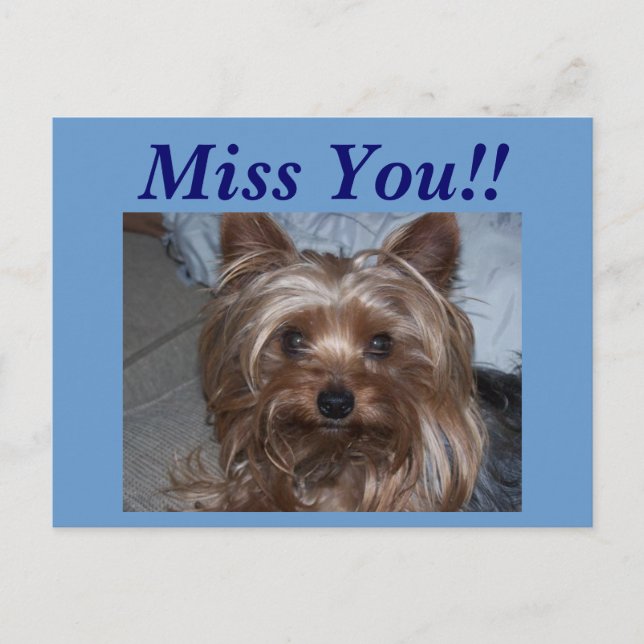 Carte Postale Rocky "Miss You ! !" (Devant)