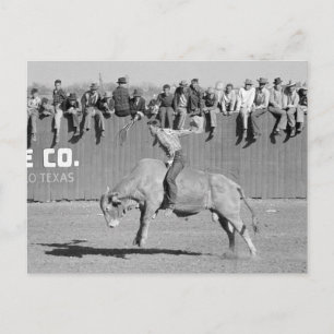 Carte Postale Rodeo Bull Rider, 1940