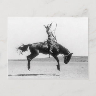Carte Postale Rodeo Cowgirl sur cheval photo vintage