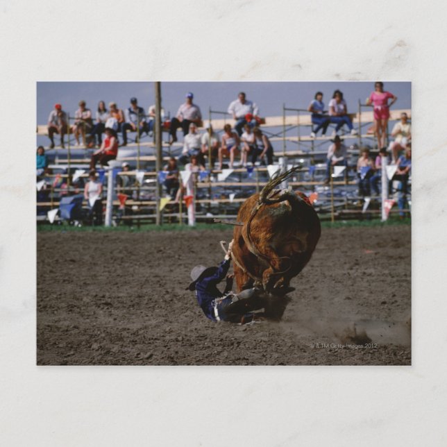 Carte Postale Rodeo rider tomber du taureau (Devant)