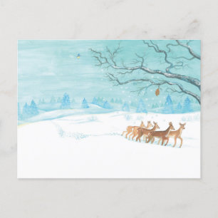 Carte Postale Roe Deer Group en hiver