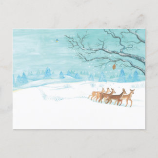 Carte Postale Roe Deer Group en hiver