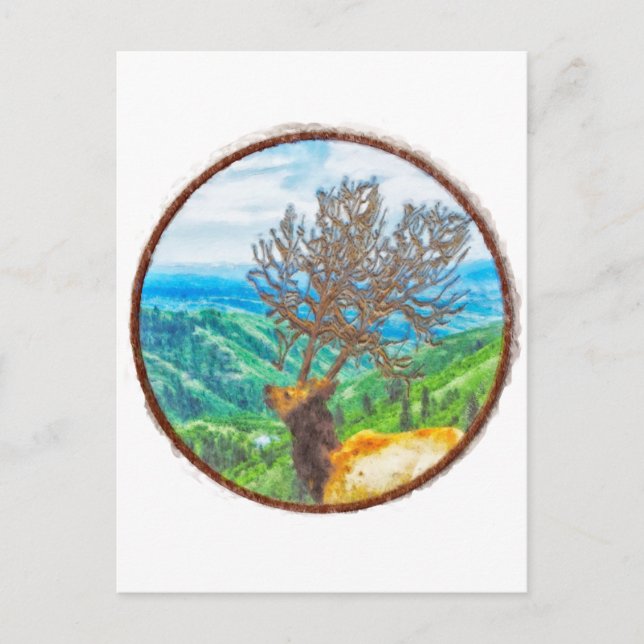 Carte Postale Roi Cervus (Devant)