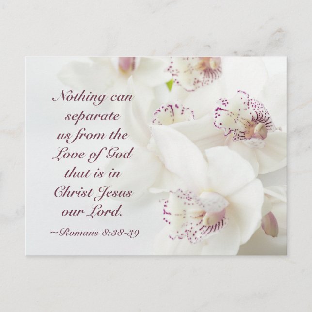 Carte Postale Romains 8:38-39 Amour de Dieu Saint Valentin (Devant)