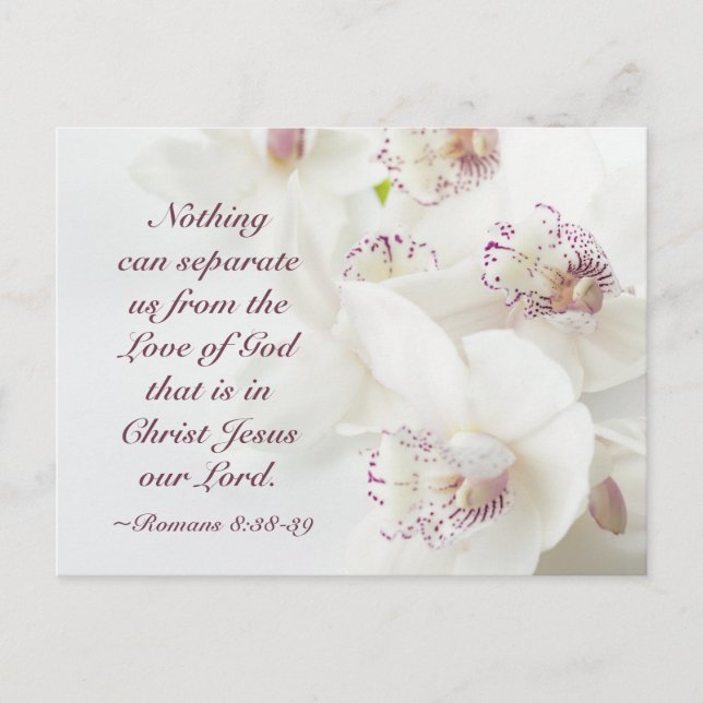 Carte Postale Romains 8:39 Amour de Dieu Bible Orchidées blanche (Devant)