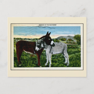 Carte Postale Romance dans le sud-ouest, amour