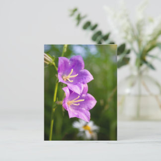 Carte Postale Romantic Flowers – Botanical Fantasy Boho