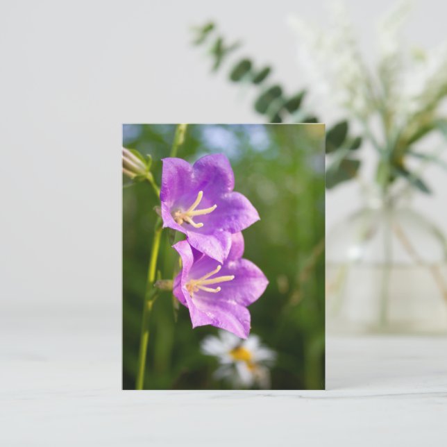 Carte Postale Romantic Flowers – Botanical Fantasy Boho (Debout devant)
