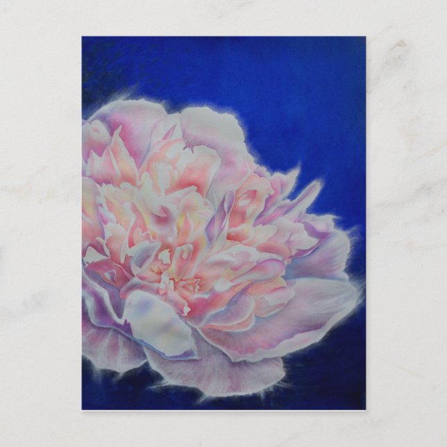 Carte Postale Romantique élégante couleur rose blanc pastel (Devant)