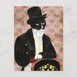Carte postale romantique Mr Darcy Cat