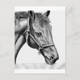 Carte Postale Roméo