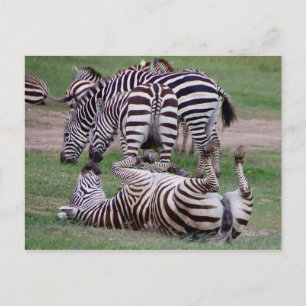 Carte Postale Rompre à propos