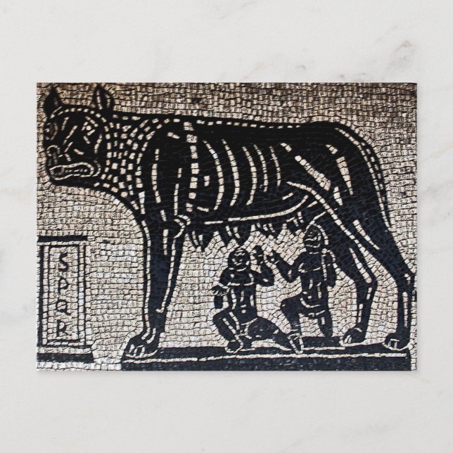Carte Postale Romulus & Remus (Devant)