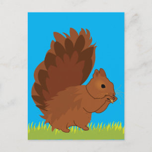 Carte Postale Rongeur animal écureuil