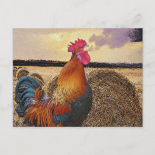 Carte Postale Rooster coloré et Hay Bale