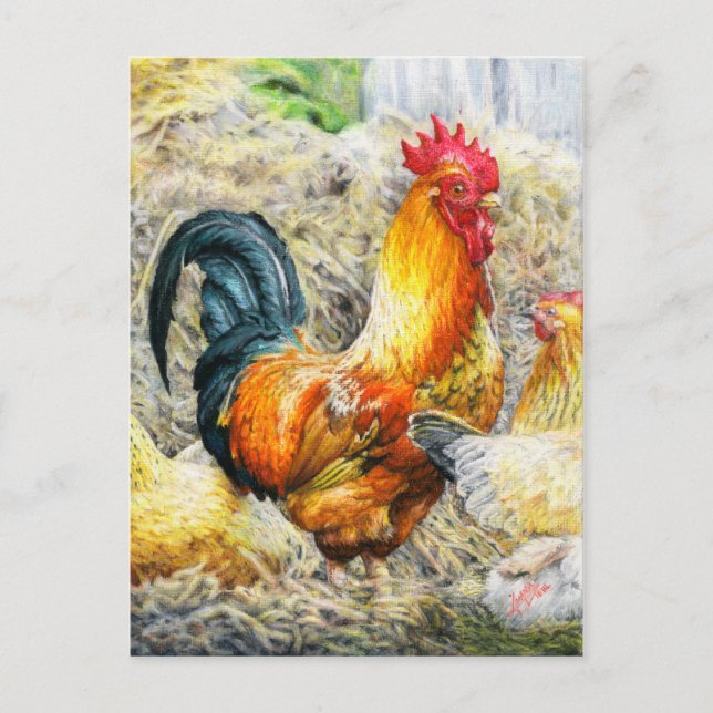 Carte Postale Rooster Fière (Devant)