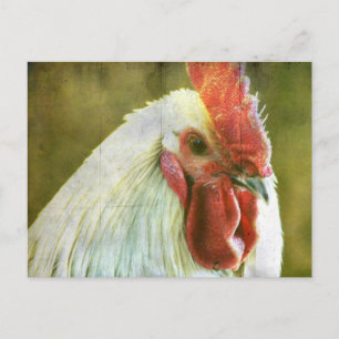 Carte Postale Rooster Grunge