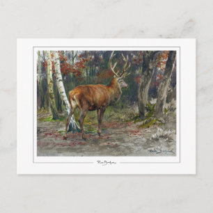 Carte Postale Rosa Bonheur #135 - Beaux-arts