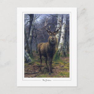 Carte Postale Rosa Bonheur #5 - Beaux-arts