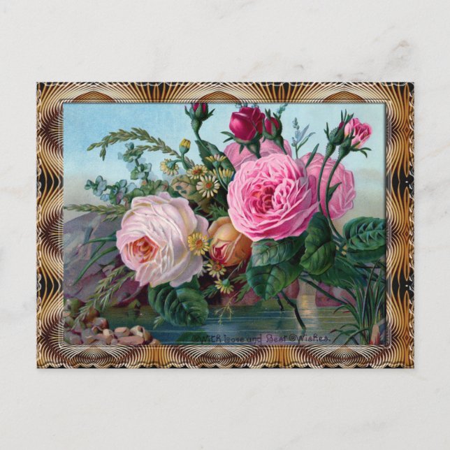 Carte Postale Rosa Centifolia rose (Devant)